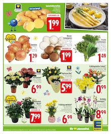 Blumen im EDEKA Prospekt "Wir lieben Lebensmittel." mit 30 Seiten (Augsburg)
