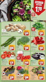 Ähnliche Eibe Angebote im Prospekt "Dein Markt" von REWE in Saarbrücken Ähnliche Angebote wie Eibe im Prospekt "Dein Markt" auf Seite 7 von REWE in Saarbrücken