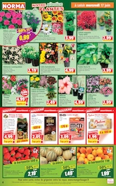 Fruits Secs en promo dans le catalogue Norma à la page 4