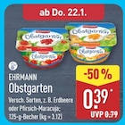 Obstgarten Erdbeere bei ALDI Nord im Neuenrade Prospekt für 0,39 €