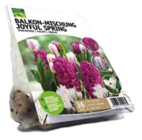 Balkon-Mischung Joyful Spring Angebote von Grün Erleben bei ROSENGUT Langerwisch Potsdam für 12,99 €