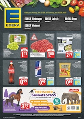 Aktueller EDEKA Prospekt mit Red Bull, "Wir lieben Lebensmittel!", Seite 1