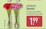 Germini von GARDENLINE für 1,99 € bei ALDI Nord im Angebot Germini von GARDENLINE im aktuellen ALDI Nord Prospekt
