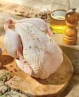 Intermarché Super Lyon - Promo Poulet Fermier Label Rouge IGP Promo Poulet Fermier Label Rouge IGP à 6,29 € dans le catalogue Intermarché Super à Lyon