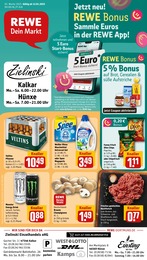 REWE Prospekt für Hünxe mit 30 Seiten REWE Prospekt "Dein Markt" für Hünxe, 30 Seiten, 13.01.2025 - 18.01.2025