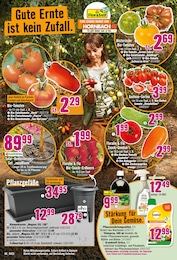Bonbon Angebot & Preis im aktuellen Hornbach Prospekt Bonbon Angebot im aktuellen Hornbach Prospekt auf Seite 13