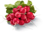 Radieschen im aktuellen Netto Marken-Discount Prospekt