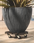 Aldi La Bassée - Promo Plateau à roulettes pour plantes Promo Plateau à roulettes pour plantes à 9,99 € dans le catalogue Aldi à La Bassée
