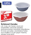 Schüssel Caruba Angebote von rotho bei bauSpezi Erlangen für 3,99 €