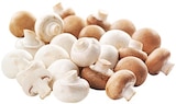 REWE - Champignon-Mischung Angebot im Prospekt Champignon-Mischung bei REWE im Prospekt "" für 2,29 €