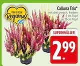 Calluna Trio im Angebot bei EDEKA in Heidenheim Calluna Trio Angebote bei EDEKA Heidenheim für 2,99 €