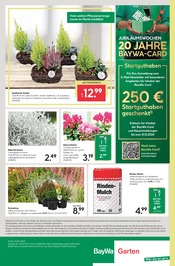 Ähnliche Angebote wie Fleischfressende Pflanzen im Prospekt "Hier bin ich gern" auf Seite 8 von BayWa Bau- und Gartenmärkte in Reutlingen