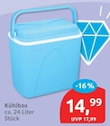 Kühlbox im aktuellen budni Prospekt