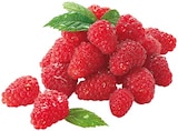 REWE Neulußheim - Bio Himbeeren Angebot im Prospekt Bio Himbeeren bei REWE im Neulußheim Prospekt für 2,49 €