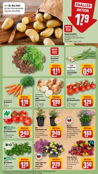 Pflanzen im aktuellen REWE Prospekt (Saarbrücken) Pflanzen im REWE Prospekt "Dein Markt" mit 28 Seiten (Saarbrücken)