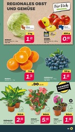 Aktueller Netto mit dem Scottie Prospekt mit Tulpen, "Günstig. Besser. Für Dich.", Seite 3