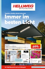 Ähnliche Angebote wie Taschenlampe im Prospekt "Die Profi-Baumärkte" auf Seite 1 von Hellweg in Mettmann