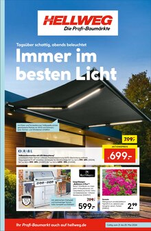 Sonnenschutz im Hellweg Prospekt "Die Profi-Baumärkte" mit 16 Seiten (Bielefeld)