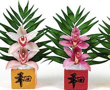 Orchidée 2 fleurons - Casino Supermarchés à Boulogne-Billancourt Orchidée 2 fleurons en promo chez Casino Supermarchés Boulogne-Billancourt à 5,99 €
