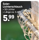 Solar-Lichterschlauch bei Rossmann im Witzenhausen Prospekt für 5,99 €