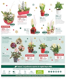 Catalogue Botanic de la semaine "LE VÉGÉTAL S'INVITE CHEZ VOUS POUR LES FÊTES !" avec 2 pages, valide du 11/12/2024 au 24/12/2024 pour Villeneuve-lès-Avignon et alentours Prospectus Botanic de la semaine "LE VÉGÉTAL S'INVITE CHEZ VOUS POUR LES FÊTES !" avec 2 pages, valide du 11/12/2024 au 24/12/2024 pour Villeneuve-lès-Avignon et alentours