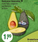 Avocados von SanLucar im aktuellen V-Markt Prospekt für 1,99 €