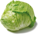 Eisbergsalat bei Netto mit dem Scottie im Demitz-Thumitz Prospekt für 0,69 €