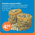 Kartoffeln im V-Markt Prospekt Einkellerungskartoffeln im aktuellen V-Markt Prospekt für 4,99 €