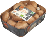 Aktuelles Bio-Champignons braun Angebot bei tegut in Stuttgart ab 1,99 €