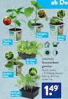 Paprika im ALDI SĂD Prospekt Paprika von Gardenline im aktuellen ALDI SĂD Prospekt fĂŒr 1,49 âŹ