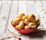 Pomme de terre de consommation à chair ferme - U en promo chez Super U Béziers à 2,25 €
