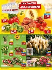 Dekoration im Netto Marken-Discount Prospekt in Mettmann Aktueller Netto Marken-Discount Prospekt mit Dekoration, "Aktuelle Angebote", Seite 11
