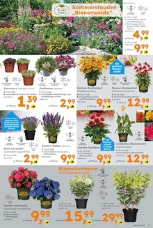 Blumen im aktuellen Globus-Baumarkt Prospekt (Rostock) Blumen im Globus-Baumarkt Prospekt "Immer eine Idee besser" mit 22 Seiten (Rostock)