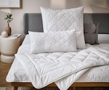 Aktuelles Sommerbett Angebot bei XXXLutz in Stuttgart ab 19,99 €