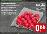 Radieschen bei EDEKA im Velen Prospekt für 0,66 €