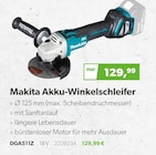 Raiffeisen Waren GmbH - Akku-Winkelschleifer Angebot im Prospekt Akku-Winkelschleifer bei Raiffeisen Waren GmbH im Prospekt "" für 129,99 €