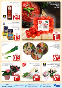 Pflaumen Angebot im Marktkauf Prospekt, gültig von 05.01.2026 bis 10.01.2026 Pflaumen Angebot im aktuellen Marktkauf Prospekt auf Seite 9