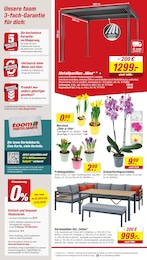 Zelt Angebot & Preis im aktuellen toom Baumarkt Prospekt Zelt Angebot im aktuellen toom Baumarkt Prospekt auf Seite 2