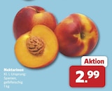 Angebot im combi Verl Prospekt combi Verl Prospekt mit im Angebot für 2,99 €