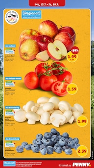 Champignons Angebot im Penny Prospekt, gültig von 13.07.2026 bis 18.07.2026 Champignons Angebot im aktuellen Penny Prospekt auf Seite 5