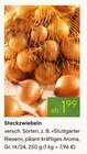 Steckzwiebeln für 1,99 € bei Pflanzen Kölle im Angebot Steckzwiebeln im aktuellen Pflanzen Kölle Prospekt