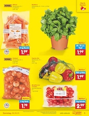 Pflanzen im Netto Marken-Discount Prospekt in Kaiserslautern Aktueller Netto Marken-Discount Prospekt mit Pflanzen, "Aktuelle Angebote", Seite 5