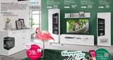 Zurbrüggen - Wohnprogramm „COREL“ Angebot im Prospekt Wohnprogramm „COREL“ bei Zurbrüggen im Prospekt für 396,00 €