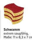 Aktuelles Schwamm Angebot bei E center in Frankfurt (Main) ab 1,00 €