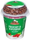 Aktuelle Joghurt Angebote bei Kaufland in Ingolstadt Aktuelles Frucht & Knusper Angebot bei Kaufland in Ingolstadt ab 0,49 €