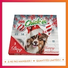 Calendrier de l'avent chien à B&M dans Orvilliers