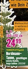 Angebot im Hornbach Rothenstein Prospekt Hornbach Rothenstein Prospekt mit im Angebot für 24,99 €