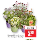 Stauden Mix im Angebot bei Marktkauf in Schwäbisch Gmünd Stauden Mix Angebote bei Marktkauf Schwäbisch Gmünd für 5,99 €