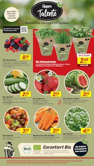 Obst im toom Baumarkt Prospekt "Respekt, wer's selber macht." mit 32 Seiten (Essen)