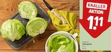 Eisbergsalat im Angebot bei REWE in Düren Eisbergsalat Angebote bei REWE Düren für 1,11 €